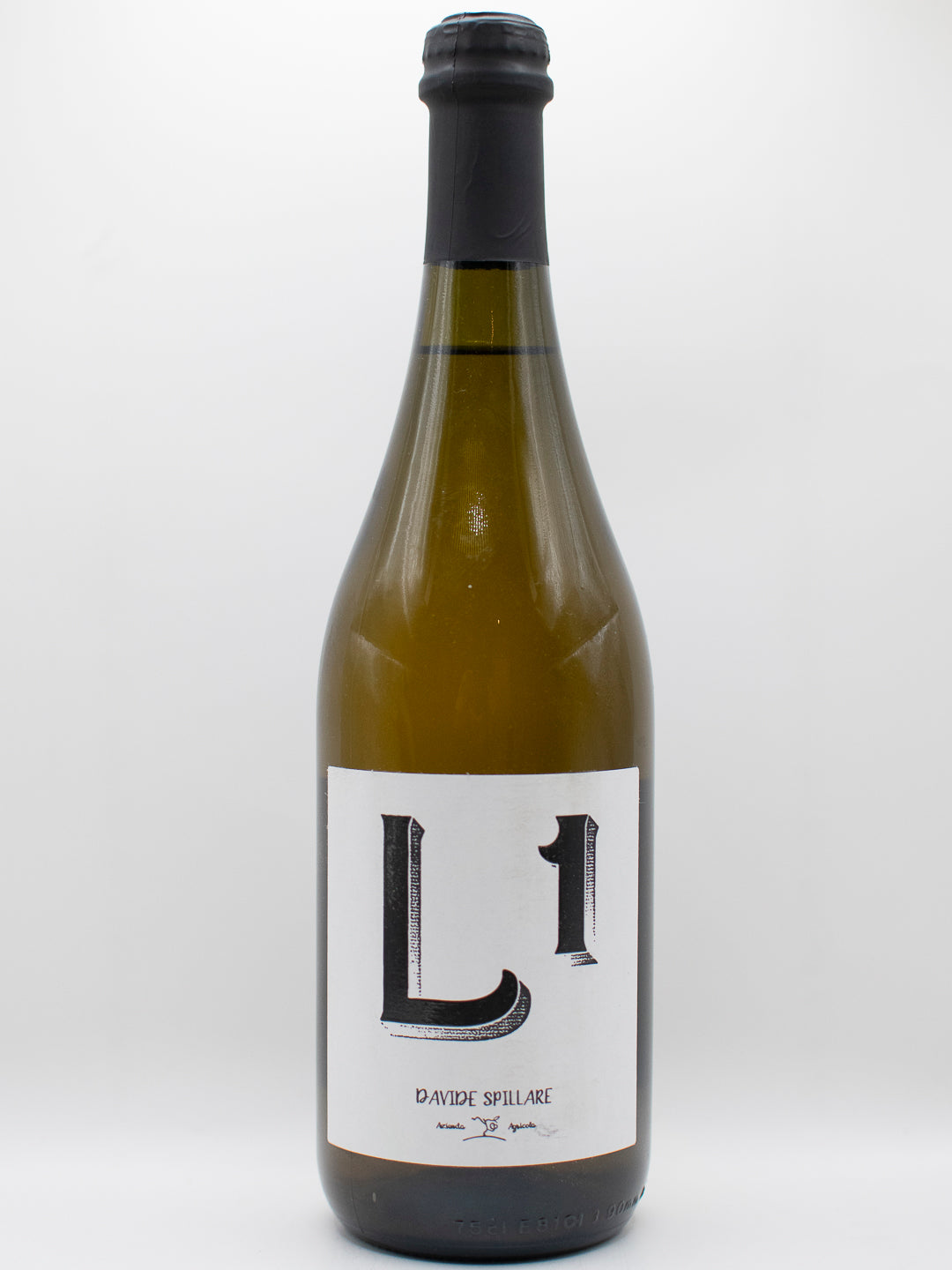 Davide Spillare, L1 2021