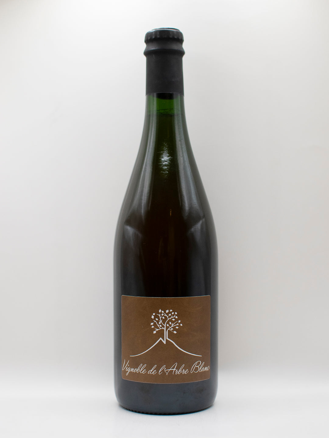 L'Arbre Blanc, Les Fesses 2020