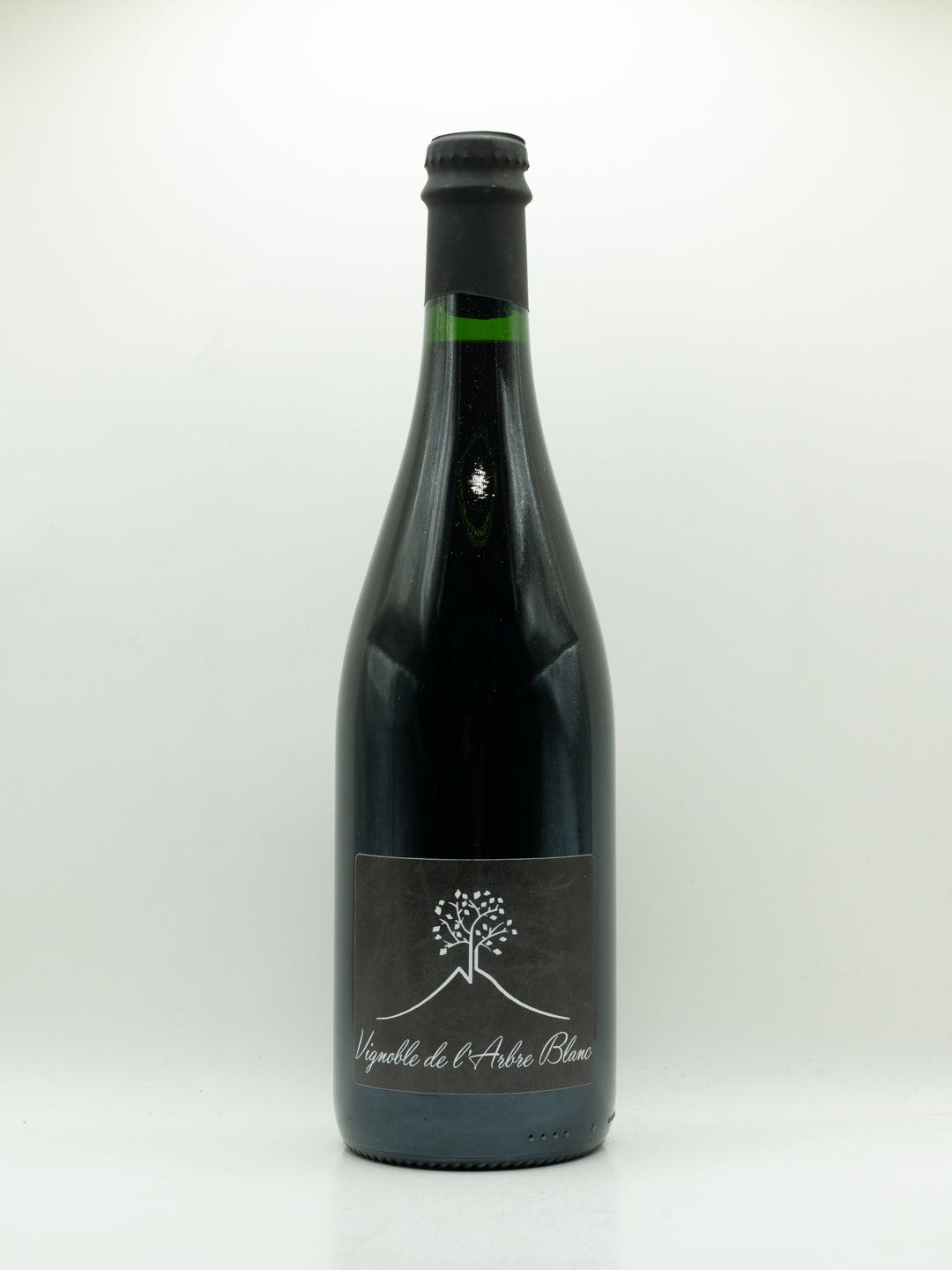 L'Arbre Blanc, Les Orgues 2021