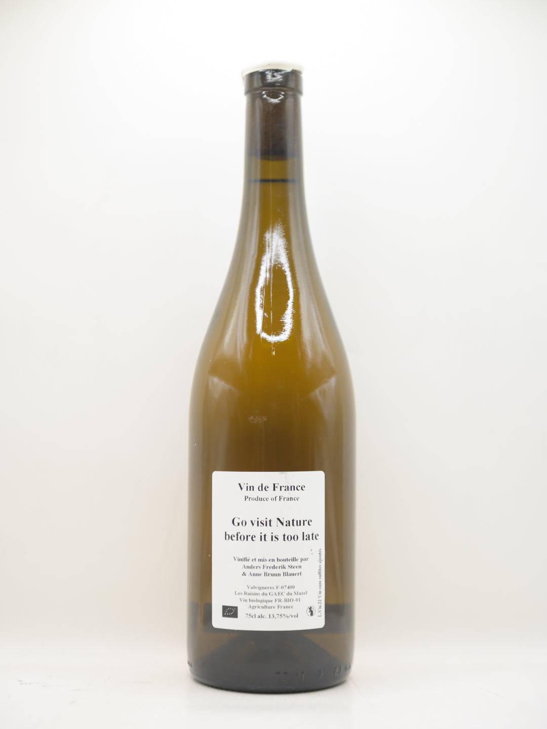 Anders Frederik Steen, Go visit nature before it is... 2022