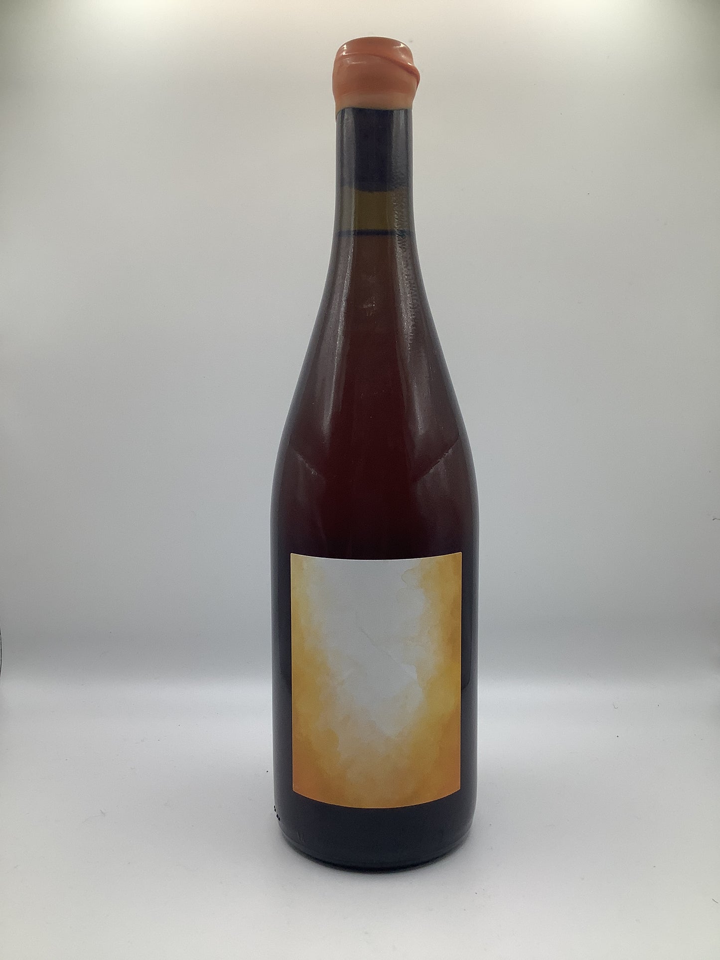 Anais Fanti, Costa Rawa (2022)