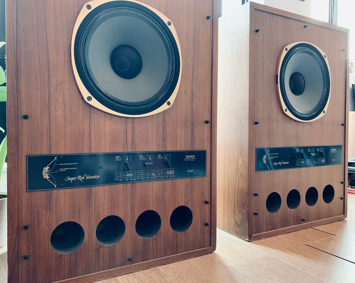 Tannoy M1000 15" Super Red Monitor (1980)