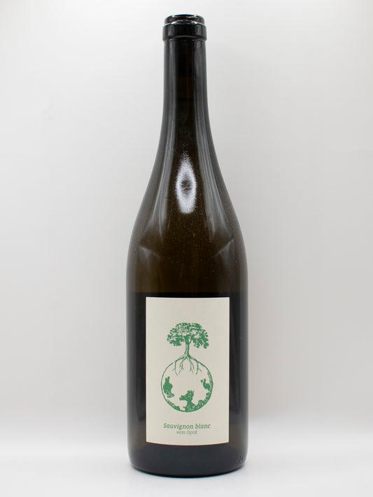 Weingut Werlitsch Sauvignon Blanc Vom Opok 2021