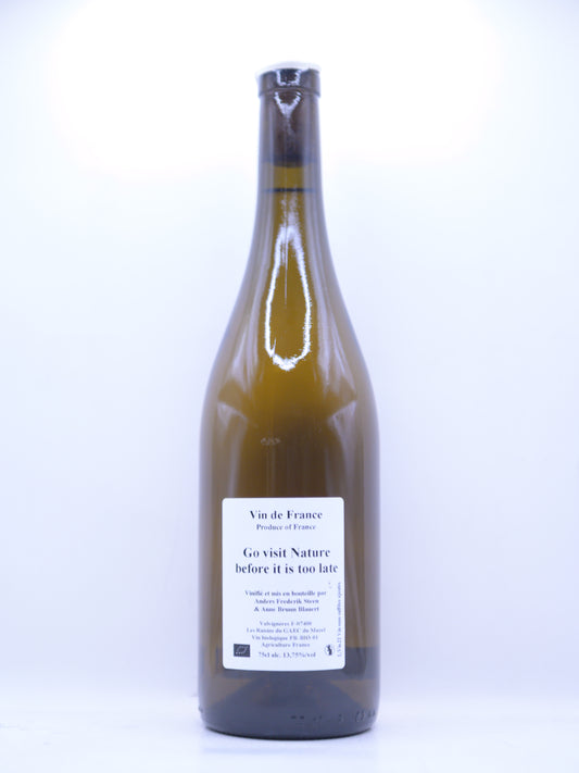 Anders Frederik Steen, Go visit nature before it is... 2022