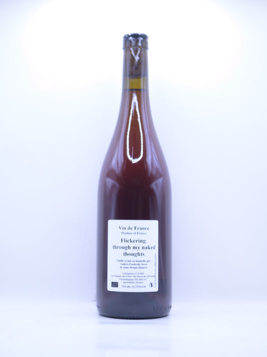 Anders Frederik Steen, Flickering through my... 2023