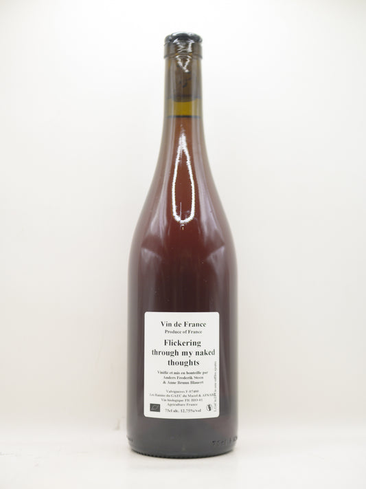 Anders Frederik Steen, Flickering through my... 2023