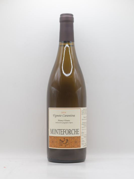 Monteforche, Carantina 2024