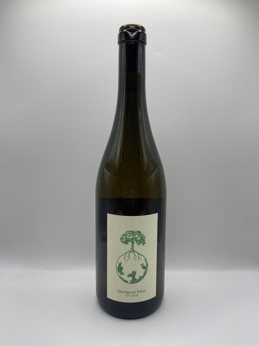 Weingut Werlitsch,  Sauvignon Blanc