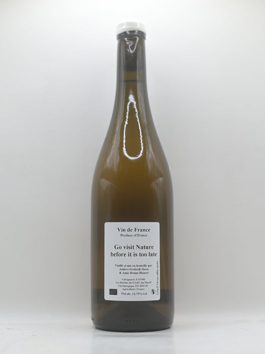 Anders Frederik Steen, Go visit nature before it is... 2022