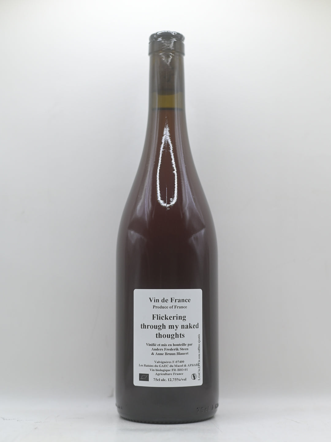 Anders Frederik Steen, Flickering through my... 2023