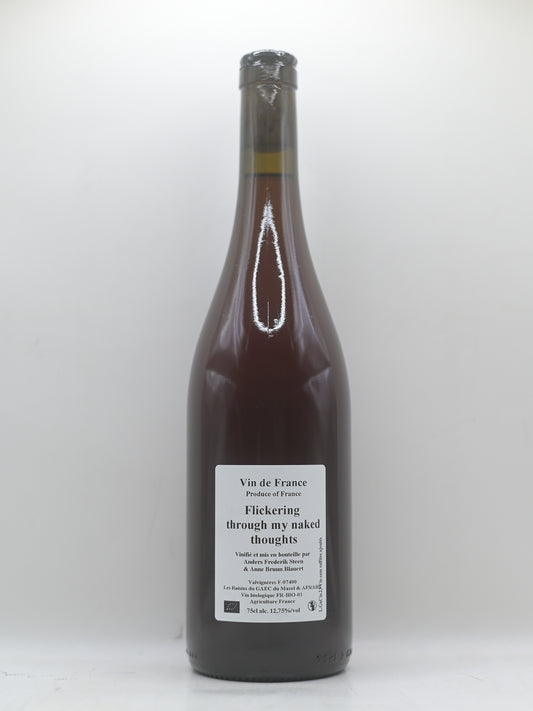 Anders Frederick Steen, Flickering through my... 2023