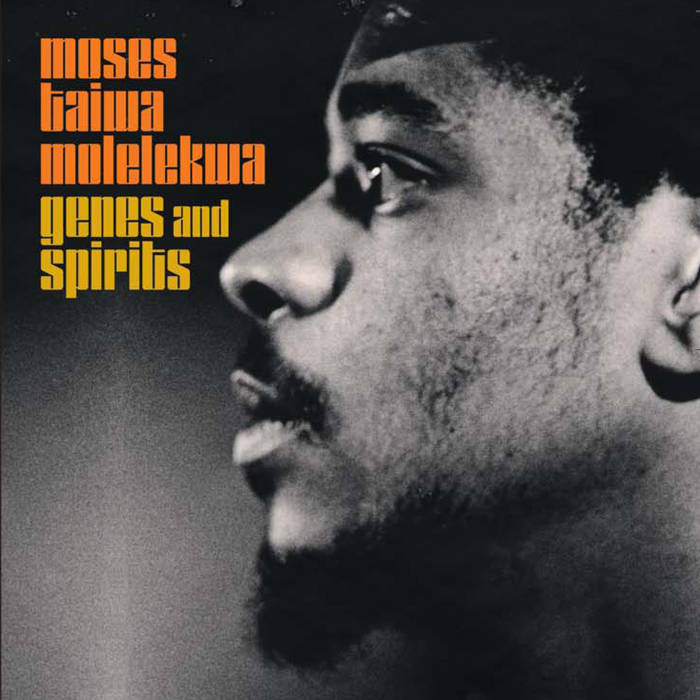 Moses Taiwa Molelekwa - Genes and Spirits