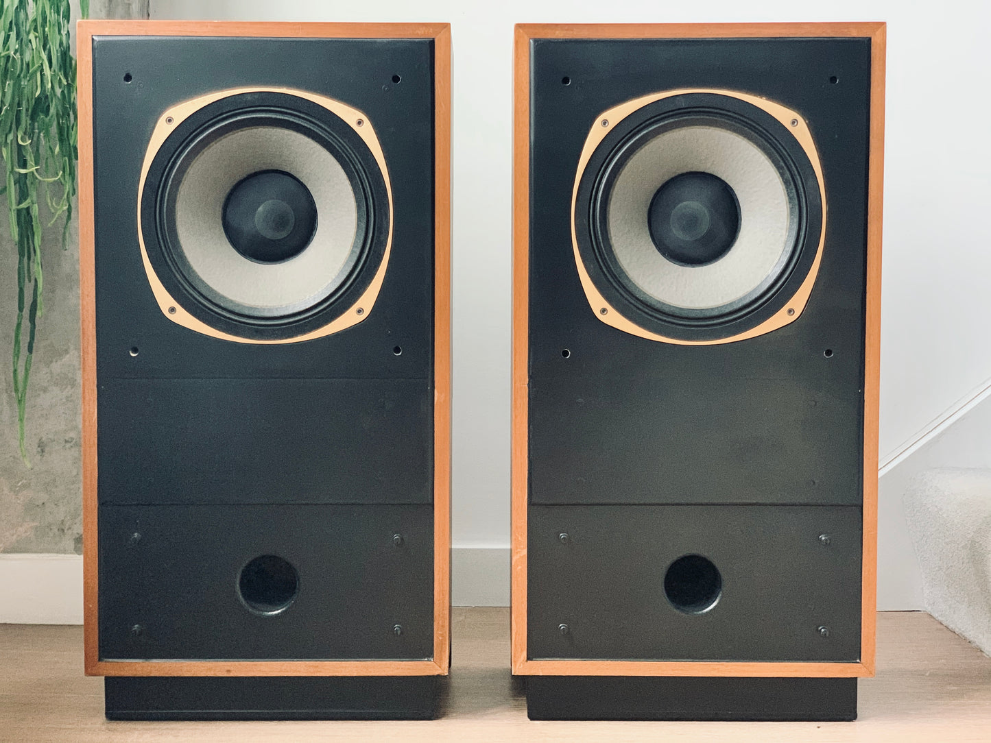 Tannoy Super Red Monitor 12"