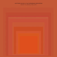 Matthew Halsall and the Gondwana Orchestra - When the World Was One